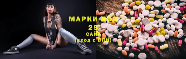 винт Аркадак