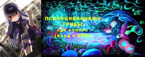 винт Аркадак