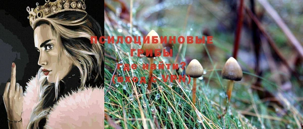 каннабис Арсеньев