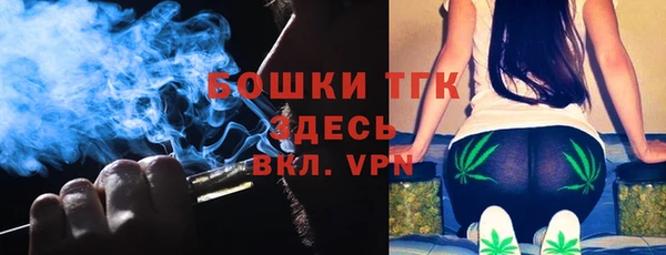 ГАЛЛЮЦИНОГЕННЫЕ ГРИБЫ Осинники
