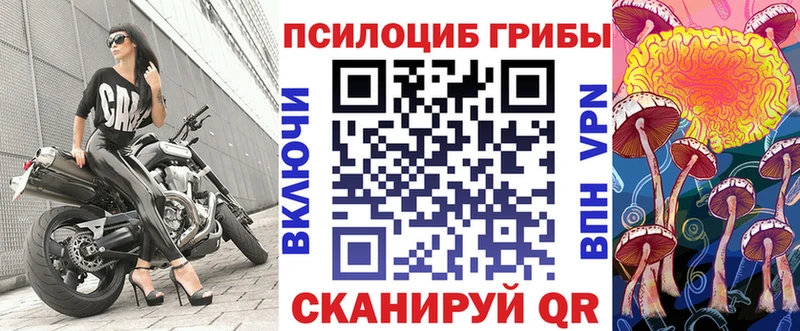 ссылка на мегу вход  Армянск  Галлюциногенные грибы Cubensis 